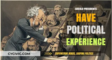 Do Presidents Need Political Experience to Lead Effectively?