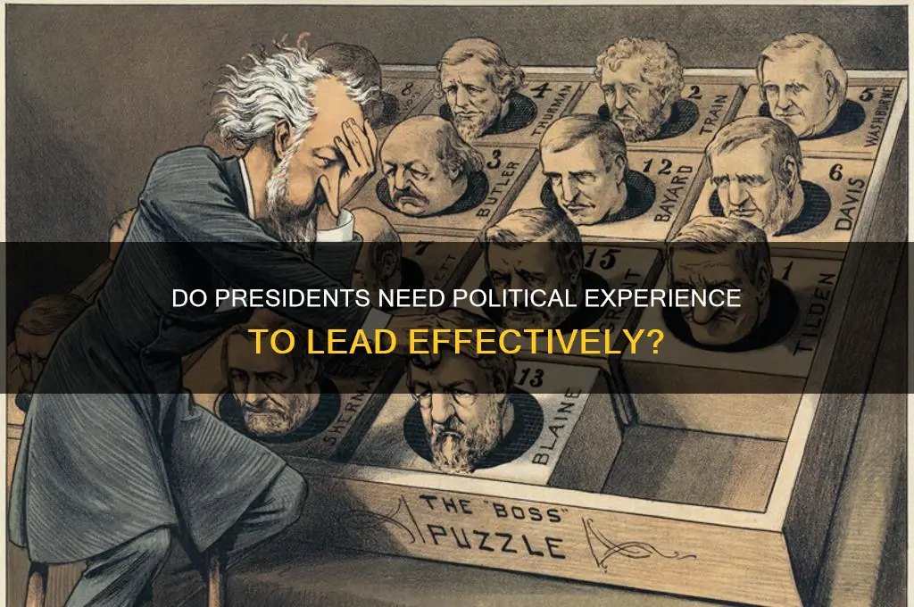 should presidents have political experince