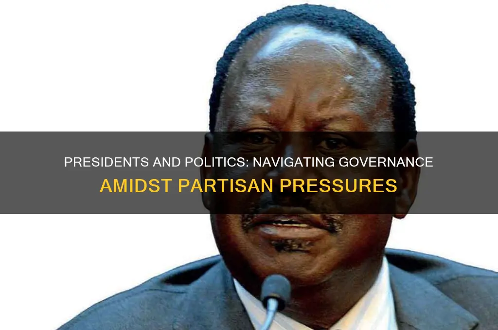 should presidents worry about politics