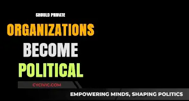 Private Organizations and Politics: Ethical Boundaries or Necessary Engagement?