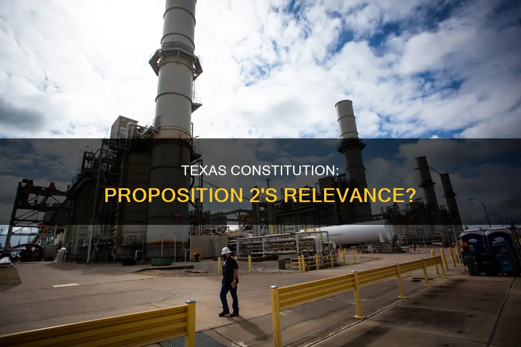 should proposition 2 be deleted from the texas constitution