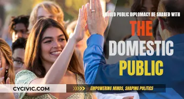 Public Diplomacy: Engage Domestic Audience, Gain Trust