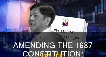 should the 1987 constitution be amended