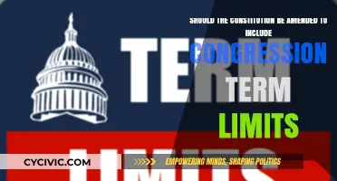 Term Limits: A Necessary Constitutional Amendment?