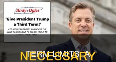 should the constitution be amended to include congressional term limits