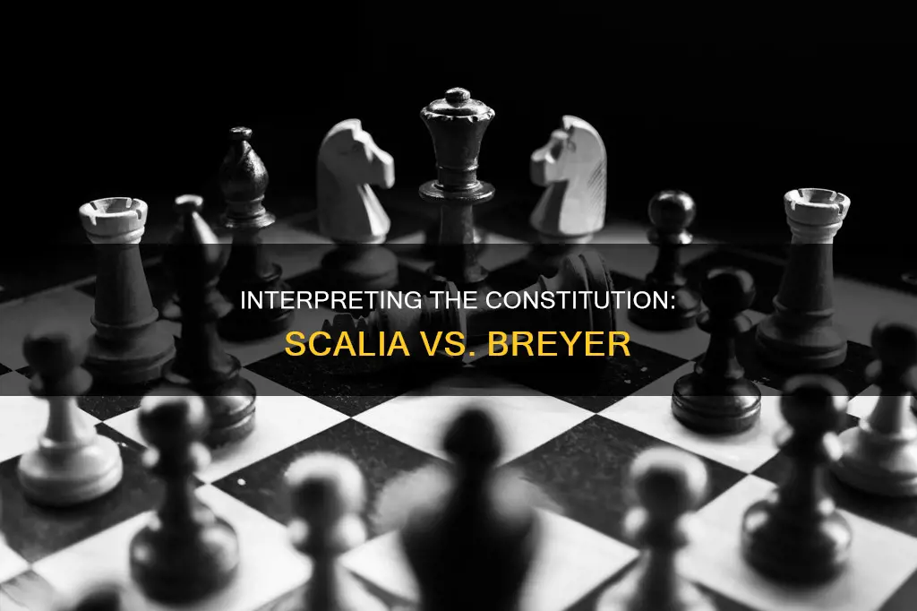 should the constitution be interpreted narrowly scalia or broadly breyer