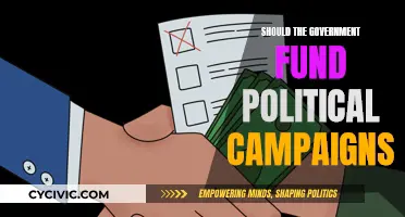 The Government's Role in Funding Political Campaigns