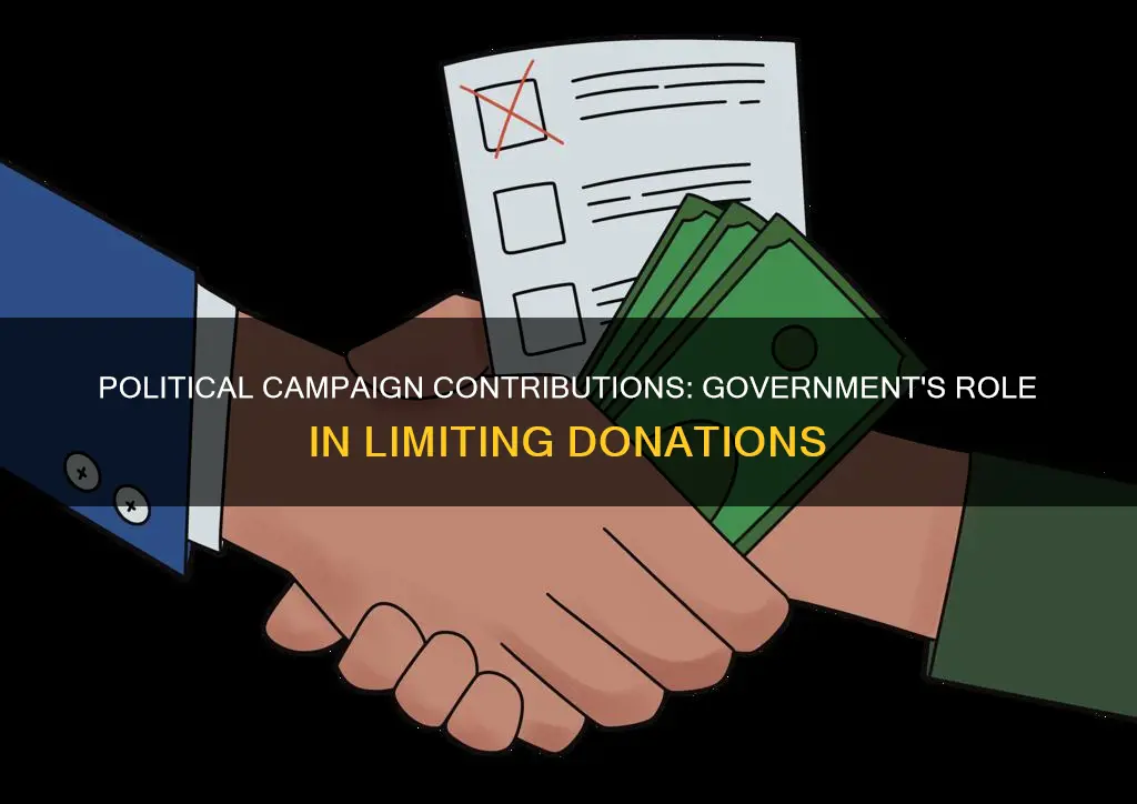 should the government limit contributions to political campaigns