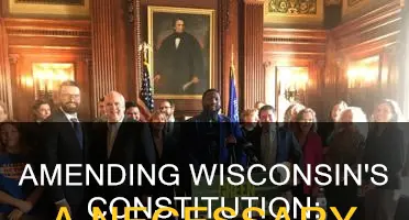 should the wisconsin constitution be amended