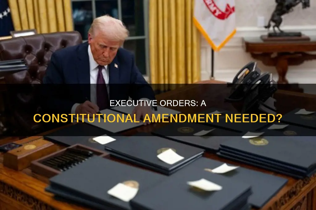 should there be a constitutional amendment about executive orders