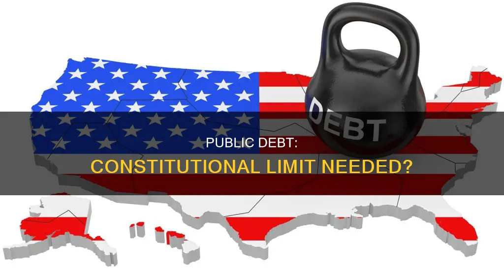 should there be a constitutional limit on public debt