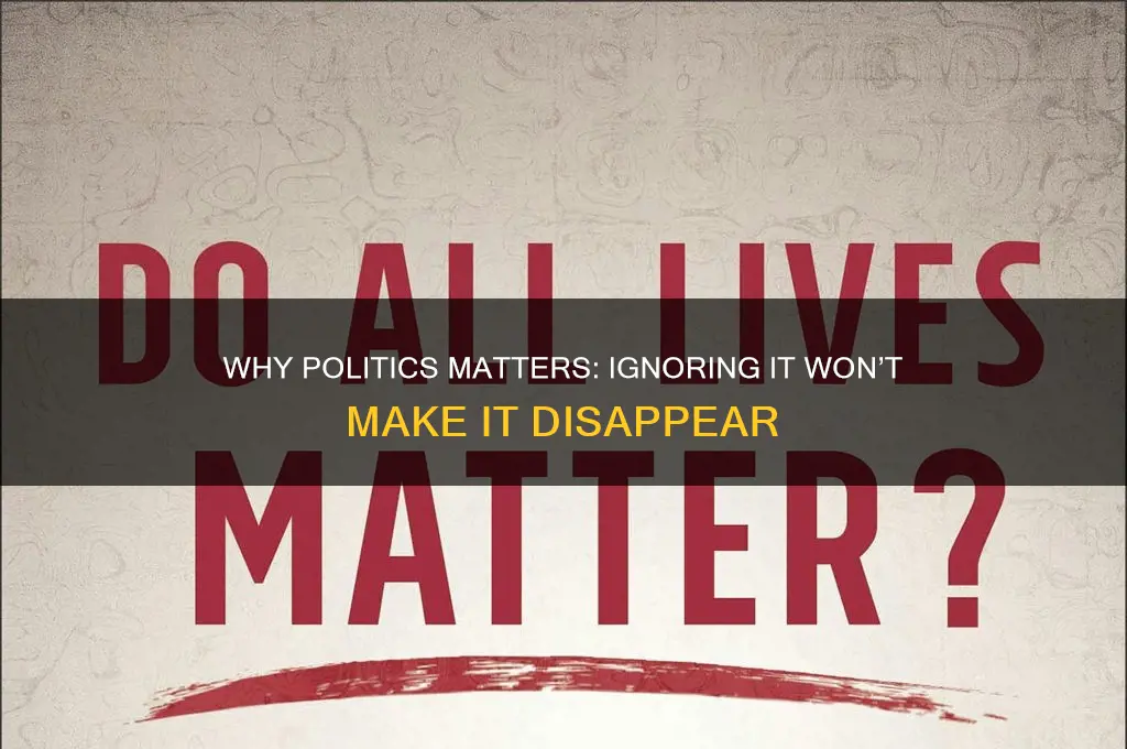 should we care about politics