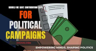 Political Campaign Contributions: Caps for a Fairer Democracy?