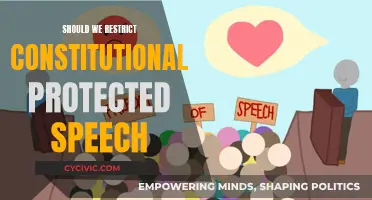 Exploring Free Speech Boundaries: Constitutional Limits?