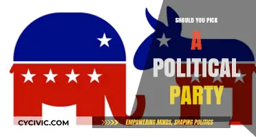 Choosing a Political Party: Identity, Values, or Strategic Alignment?