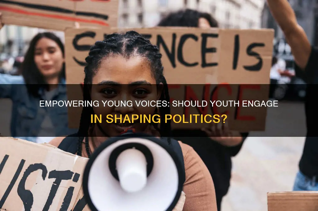 should youth enter politics