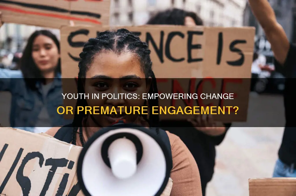 should youth indulge in politics