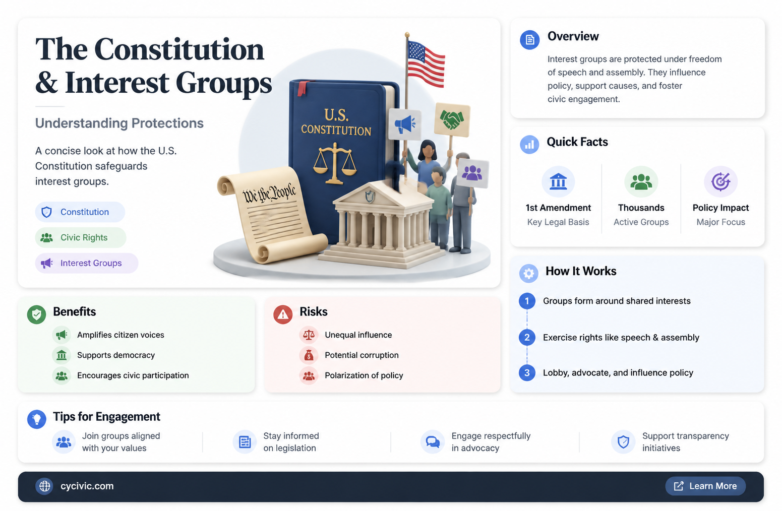 are interest groups protected by the constitution