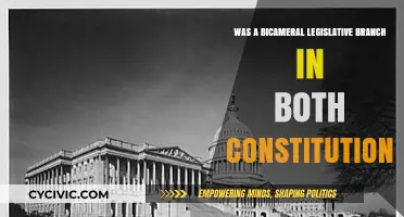 Why Bicameralism is Central to Democracy