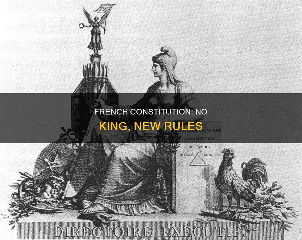 was a new constitution created without a king in france