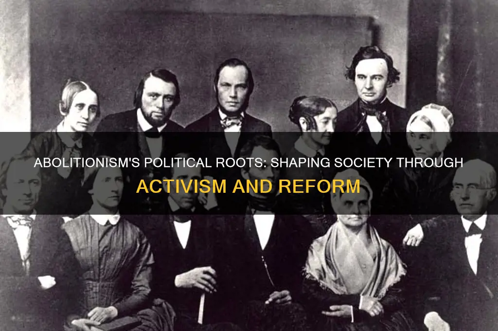 was abolitionism a political movement