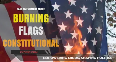 The Burning Question: Flag Amendment Constitutional?