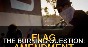 was amendment about burning flags constitutional