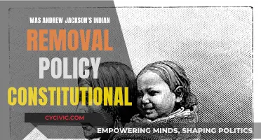 Jackson's Indian Removal Policy: Constitutional or Not?