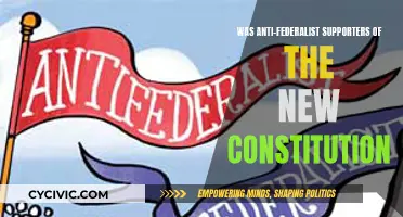 Anti-Federalists: Unlikely Supporters of the US Constitution