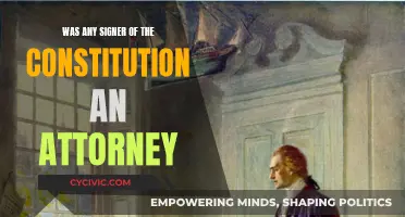 The Constitution and Attorneys: Signers' Professional Identities