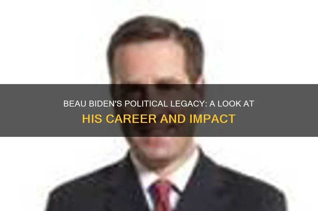 was beau biden in politics