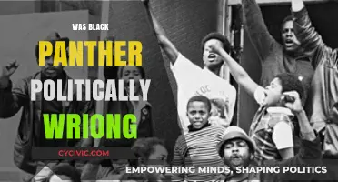 Black Panther: Political Misstep or Cultural Triumph?