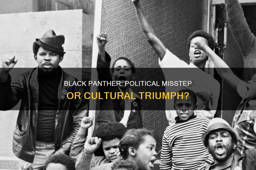 was black panther politically wriong