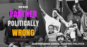 Black Panther: Political Missteps or Revolutionary Representation?