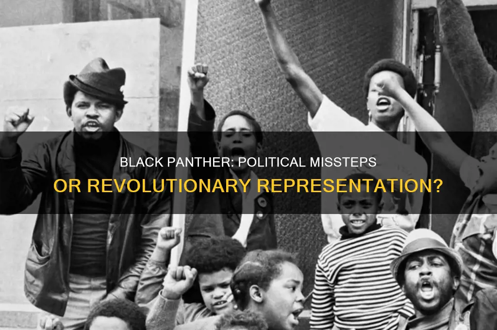 was black panther politically wrong