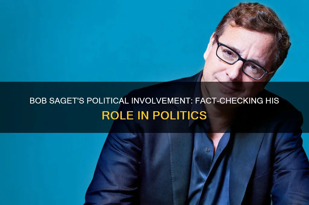 was bob saget in politics