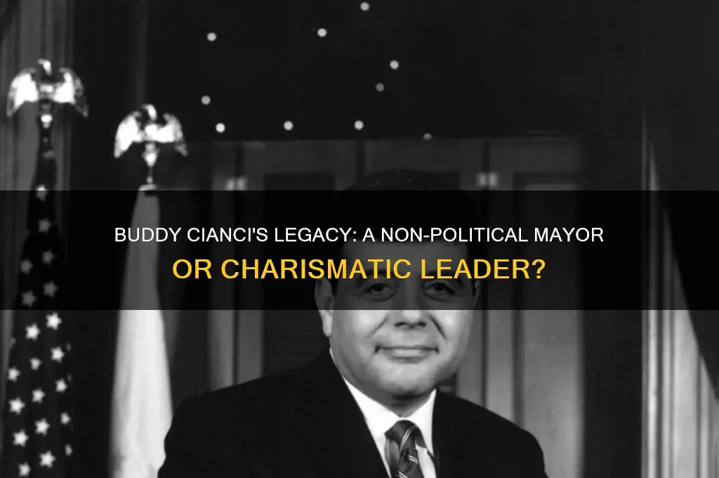 was buddy cianci non political