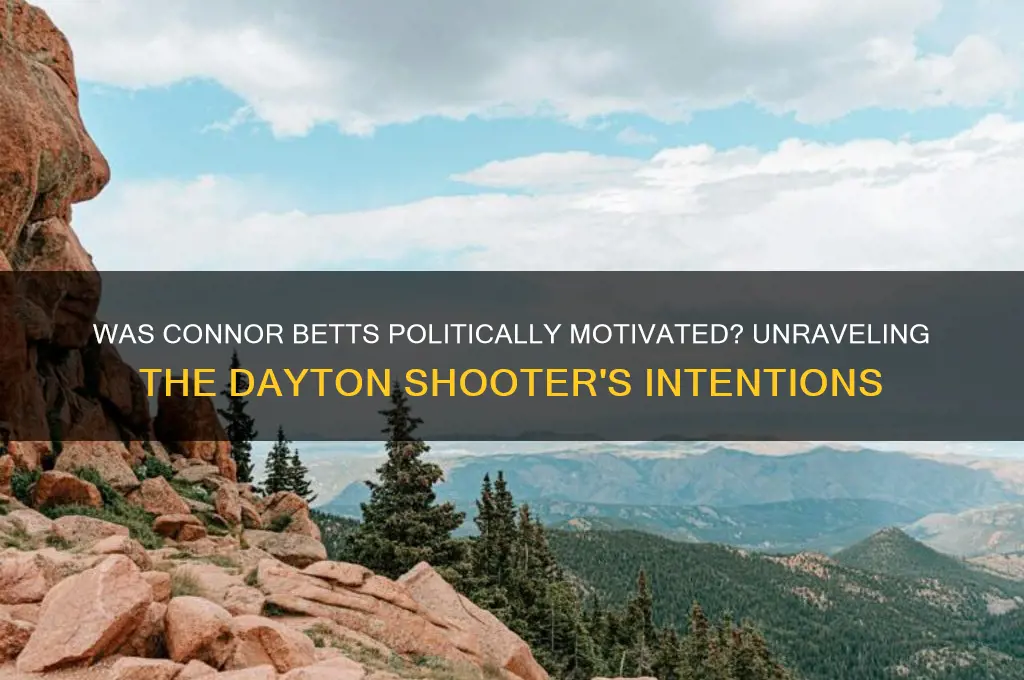 was connor betts politically motivated