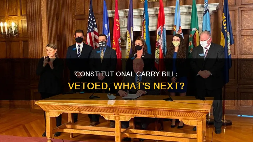 was constitutional carry bill vetoed