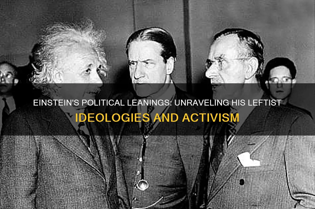 was einstein politically left
