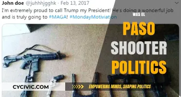 El Paso Shooter's Political Motives: Unraveling the Extremist Ideology
