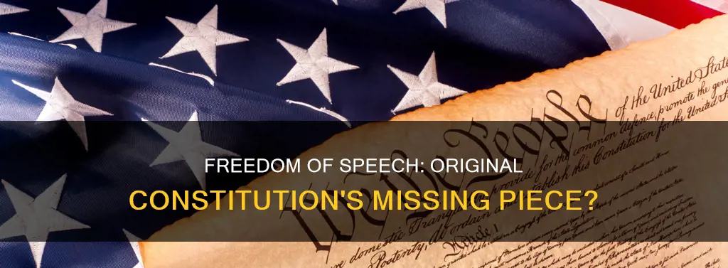 was freedom of speech part of the original constitution