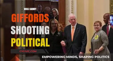 Was Gabby Giffords' Shooting Politically Motivated? Analyzing the Evidence