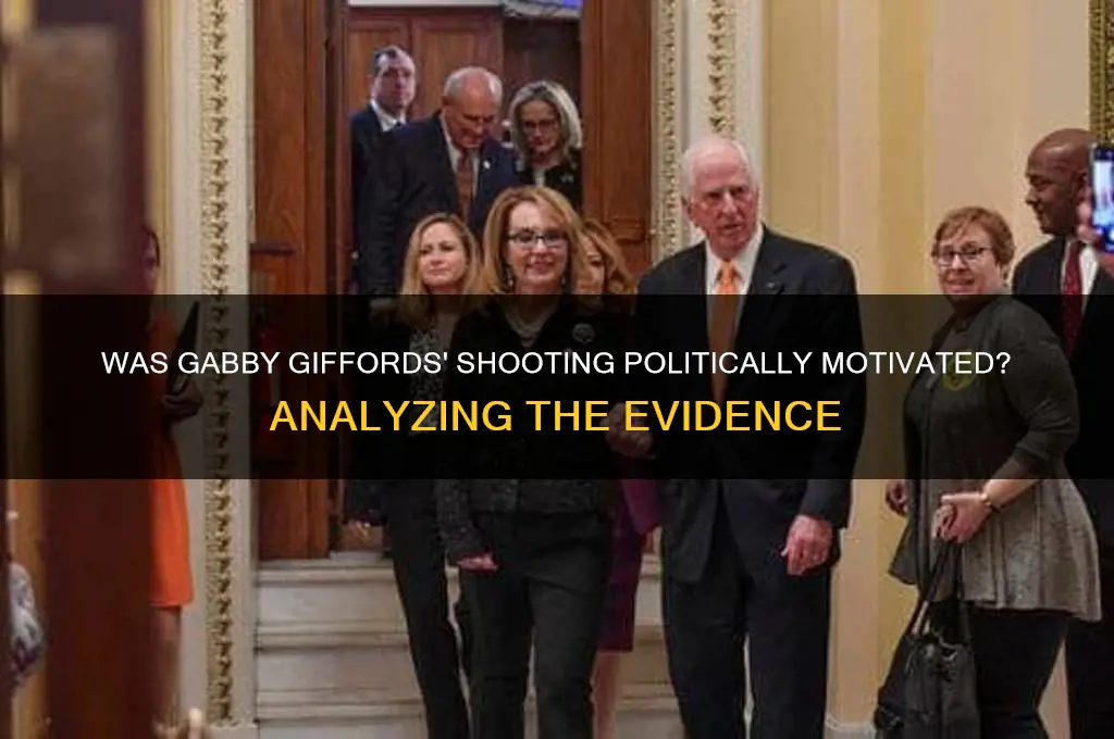 was gabby giffords shooting political