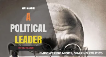 Gandhi's Political Legacy: Leader, Activist, or Revolutionary?