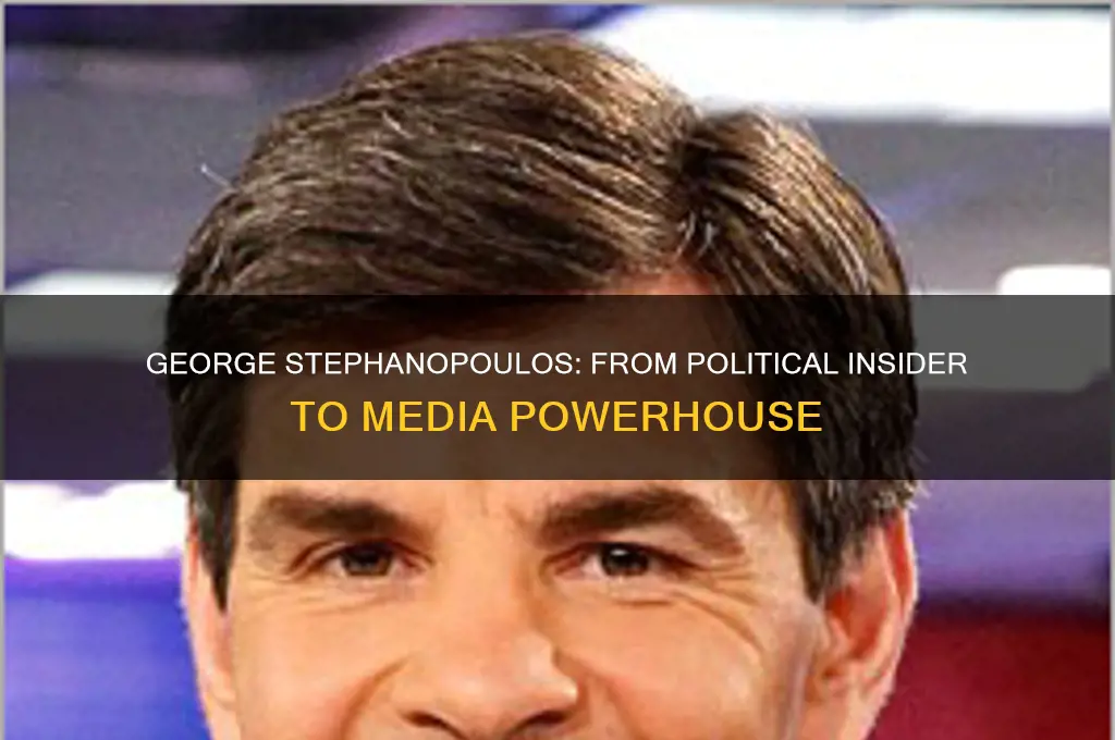 was george stephanopoulos in politics