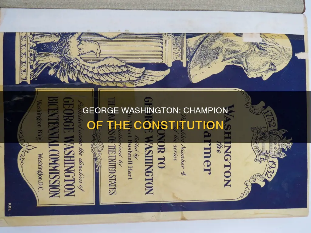 was george washington for or against the constitution