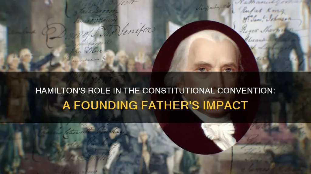 was hamilton a member of the constitutional convection