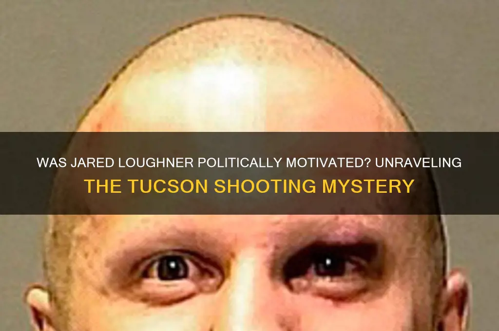 was jared loughner political