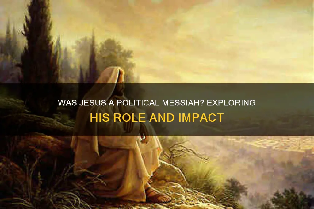 was jesus a political messiah